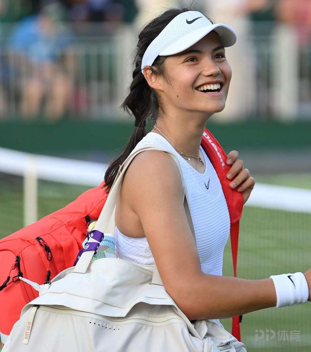 他的组织能 他的组织能