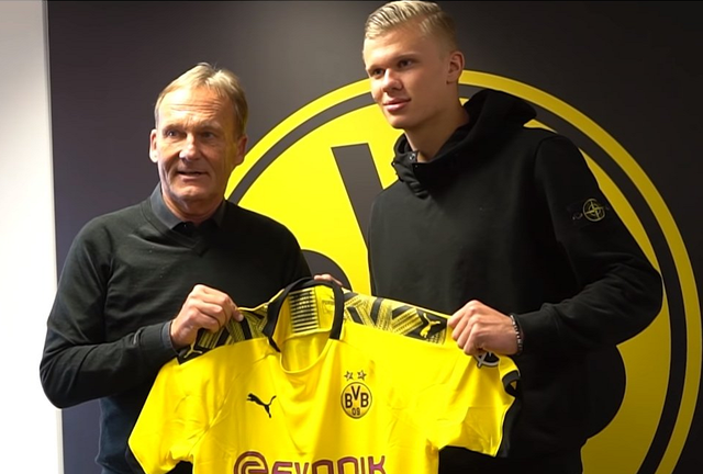 上限弹性的 上限弹性的