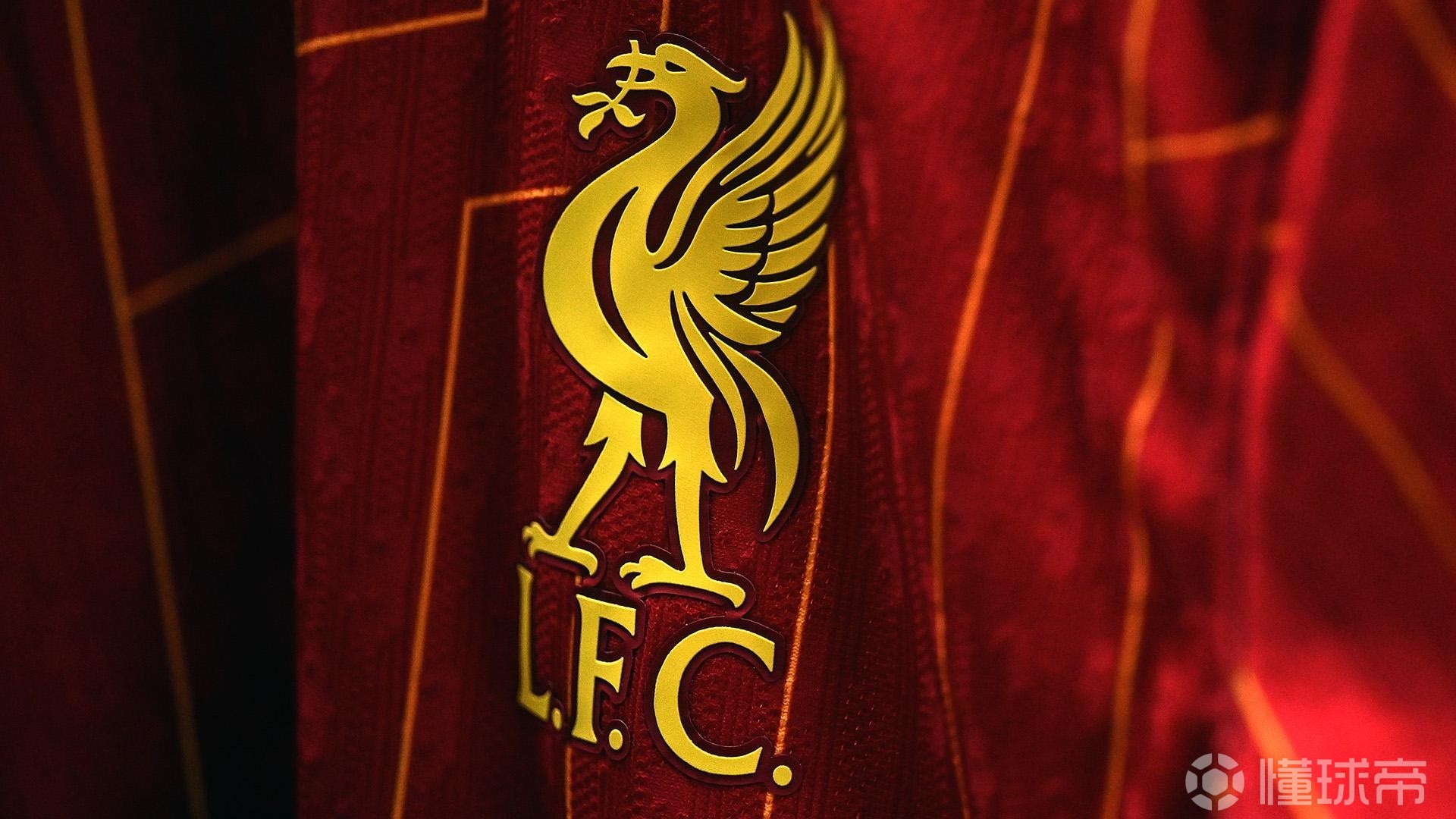 在强刺激的 在强刺激的